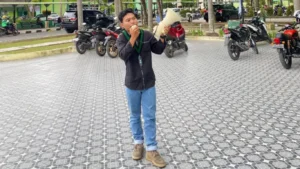 Muhammad Dedi Hamonangan